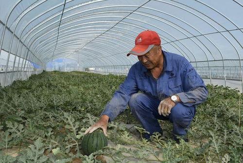 座等吃瓜,揭秘网络热议背后的真相与趣味 第3张 座等吃瓜,揭秘网络热议背后的真相与趣味 第3张