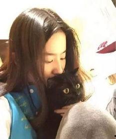 吃瓜娱乐圈刘亦菲微博,娱乐圈幕后故事大揭秘 第1张 吃瓜娱乐圈刘亦菲微博,娱乐圈幕后故事大揭秘 第1张