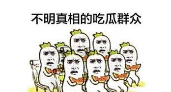 什么叫吃瓜群众视频,网络视频中的围观现象解析 第2张 什么叫吃瓜群众视频,网络视频中的围观现象解析 第2张