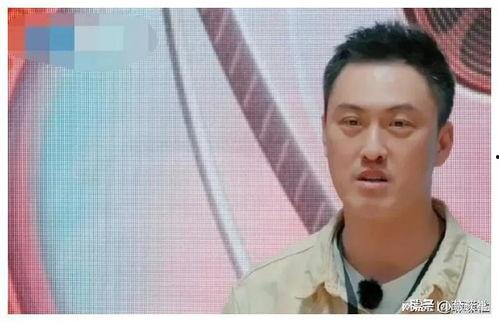 娱乐圈吃瓜爆料经典,揭秘那些年我们吃过的瓜 第3张 娱乐圈吃瓜爆料经典,揭秘那些年我们吃过的瓜 第3张