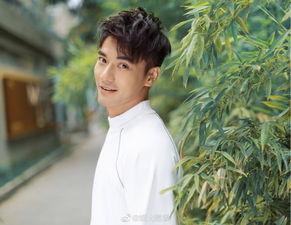 娱乐圈吃瓜大合集真的吗,揭秘明星幕后真相  第2张