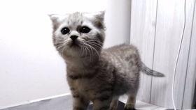 吃瓜娱乐喵,揭秘娱乐圈那些事儿 第3张 吃瓜娱乐喵,揭秘娱乐圈那些事儿 第3张