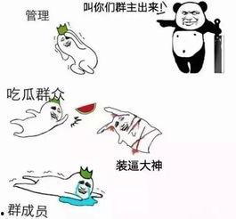 吃瓜群众表情包 微信头像,微信头像中的趣味与智慧  第2张