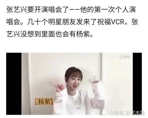 杨紫吃瓜娱乐圈八卦,娱乐圈八卦背后的真相  第3张