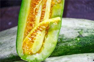 网红娱乐吃瓜,吃瓜群众的热议焦点 第2张 网红娱乐吃瓜,吃瓜群众的热议焦点 第2张