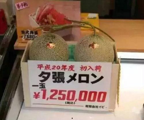 娱乐吃瓜小金,揭秘娱乐圈那些不为人知的幕后故事 第2张 娱乐吃瓜小金,揭秘娱乐圈那些不为人知的幕后故事 第2张